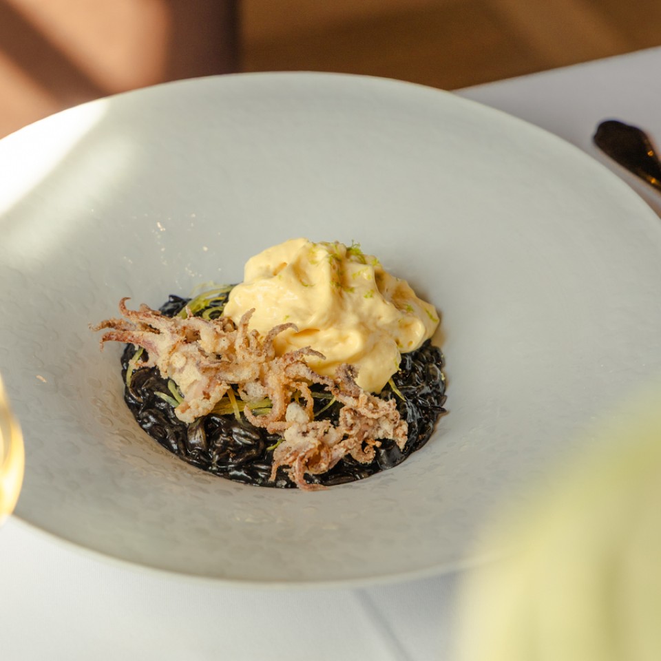 Degustacijski meni 20267